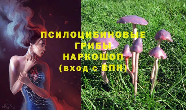 стафф Нефтегорск