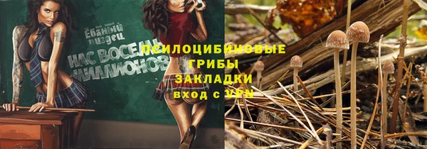 стафф Нефтегорск