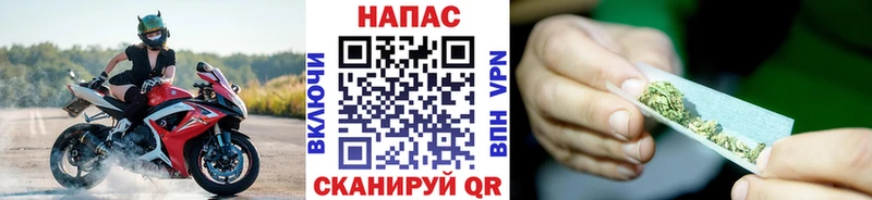 Бошки Шишки Amnesia  Сергач 